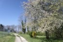 Fort des Basses Perches